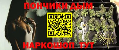 крисы Малоярославец