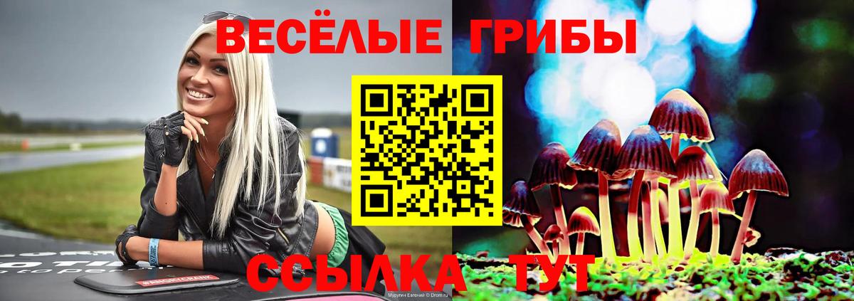 Галлюциногенные грибы Psilocybine cubensis Ставрополь