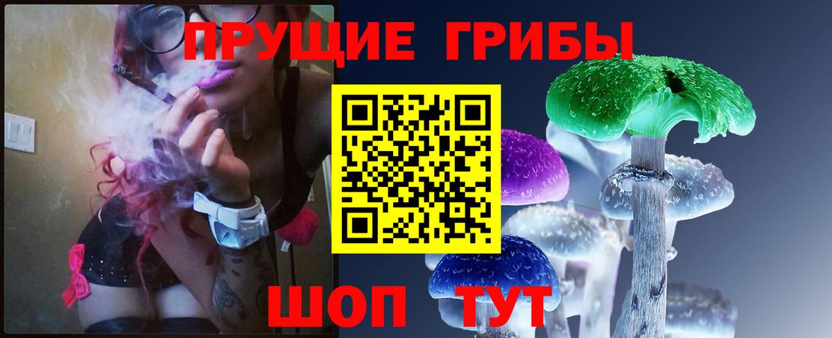 Ставрополь  Галлюциногенные грибы мицелий  Вход с VPN  Псилоцибиновые грибы Cubensis 